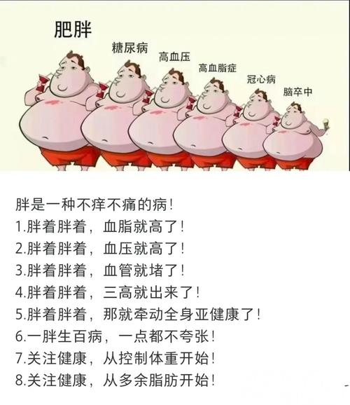 胖是什么病