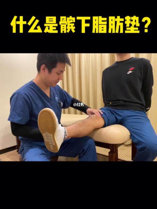 什么是脂垫