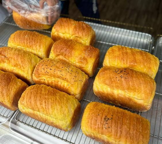 烤箱可以考什么