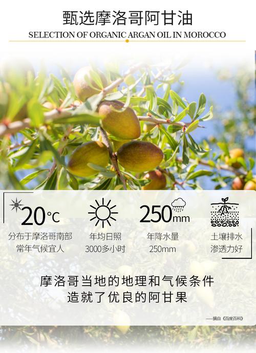 摩洛哥阿甘油最新价格