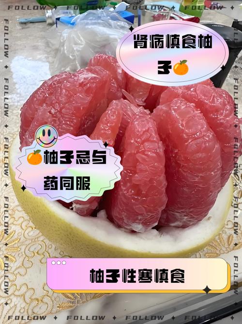 柚子什么抗体减肥药