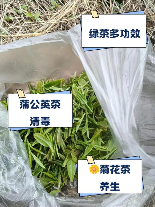 喝什么茶去火效果好