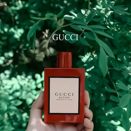 古驰晚香玉最新报价