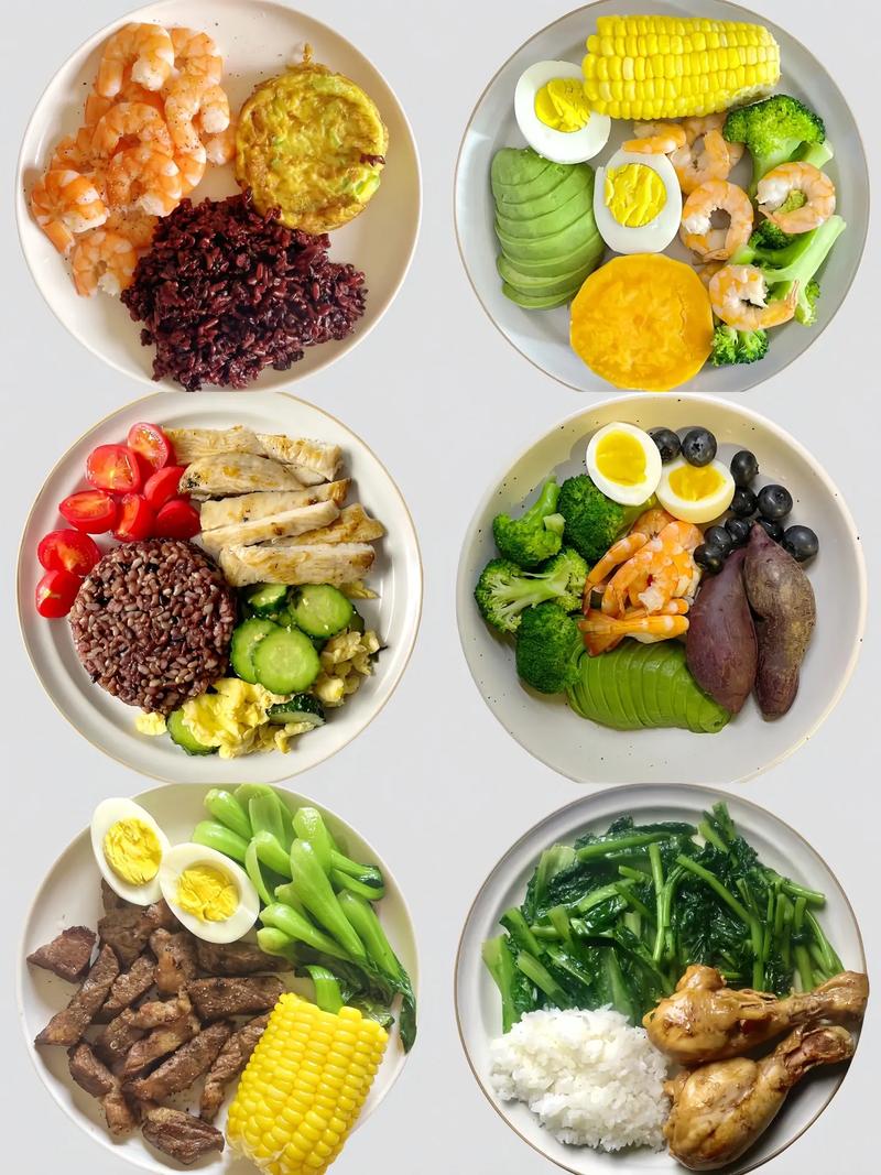 减肥每天中午吃什么