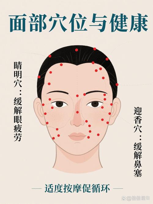 脸上有什么穴位
