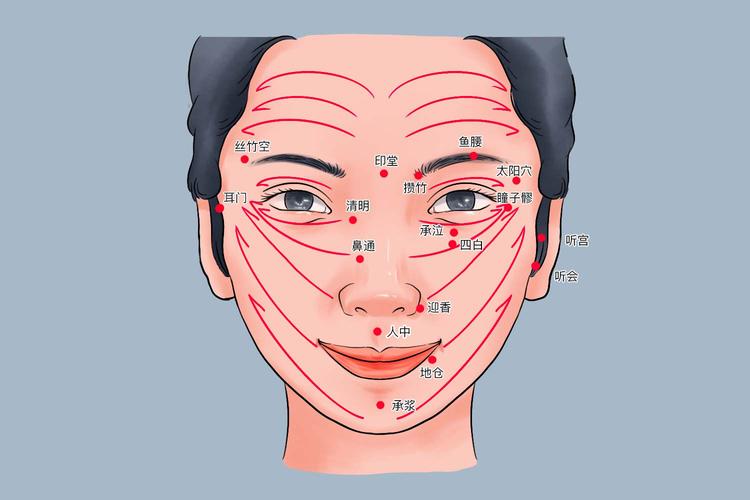 脸上有什么穴位