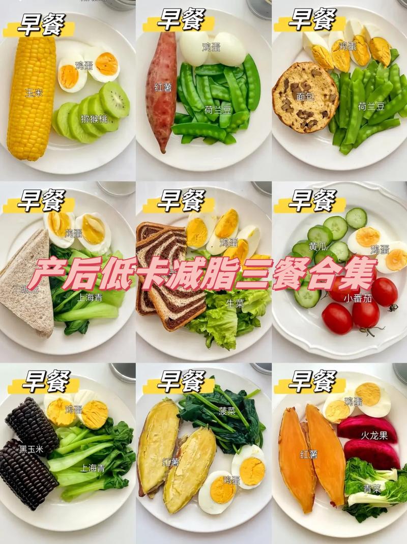 产后吃什么能减肥