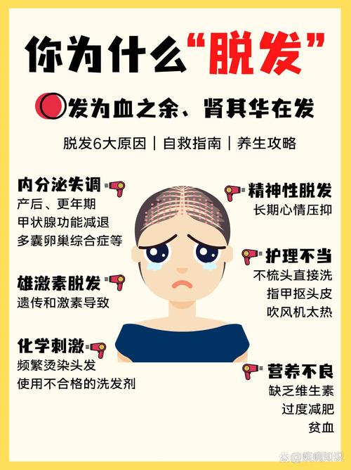 头发老是掉什么原因