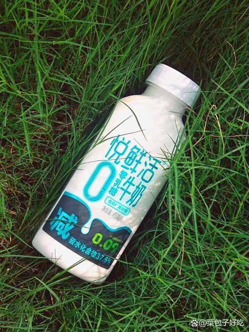 健身减肥喝什么奶