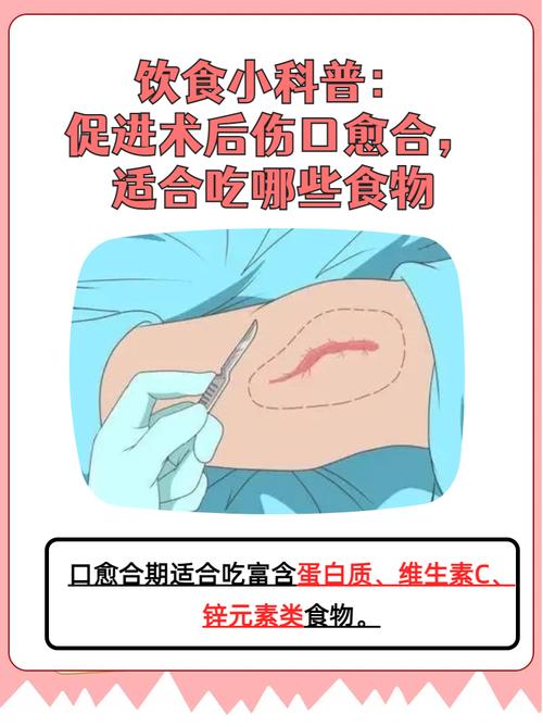 愈合伤口吃什么好