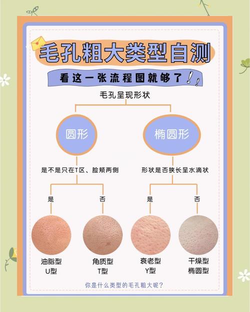 为什么皮肤毛孔粗大