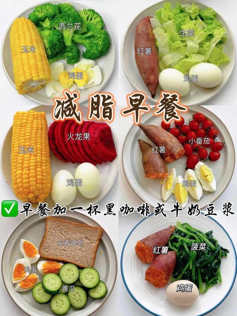 减肥期中午吃什么