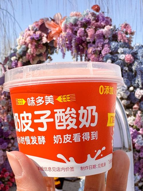 减肥期喝什么酸奶