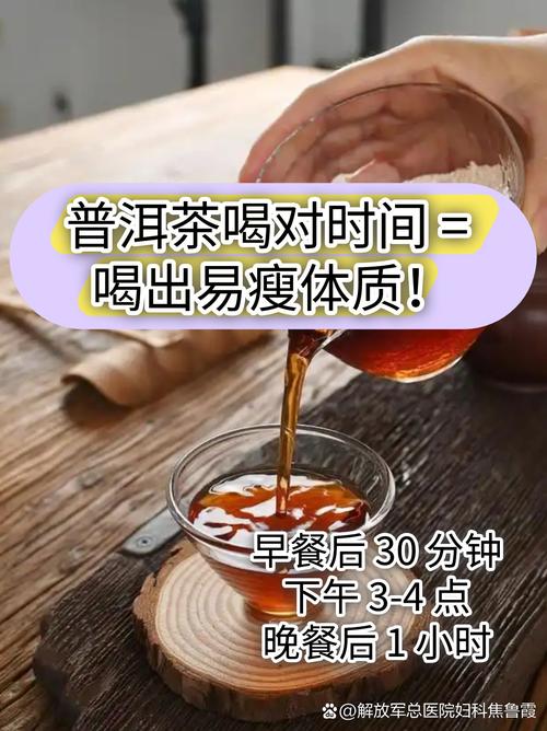减肥喝什么普洱