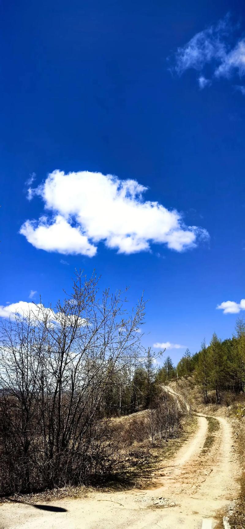 自然美最新资讯