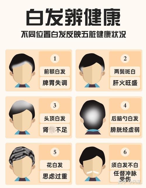 头发白看什么科