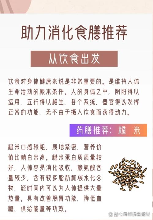 糙米饭为什么减肥吃