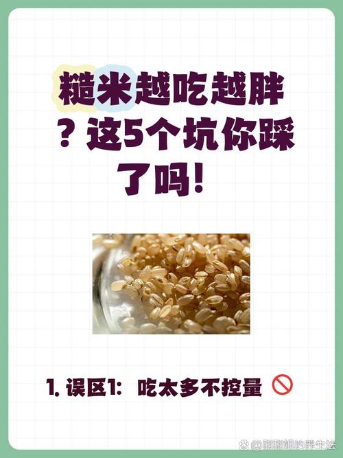 糙米饭为什么减肥吃