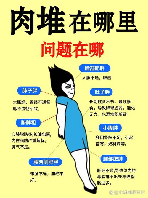 全息减肥是什么意思