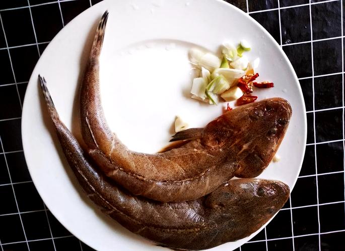 麻花鱼是什么鱼