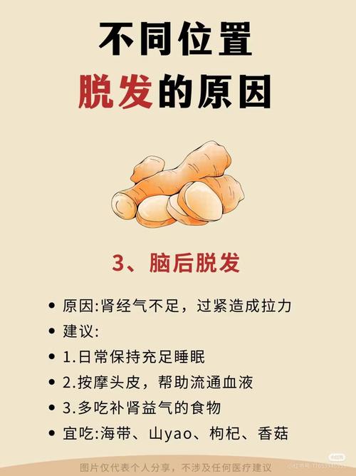 为什么经常掉发