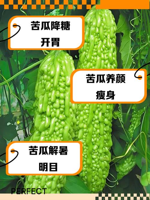 苦瓜和什么一起减肥