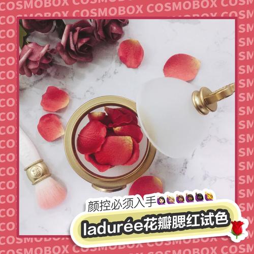 拉杜丽腮红最新