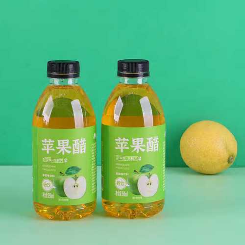 什么醋减肥最好