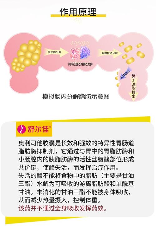 od减肥药什么原理