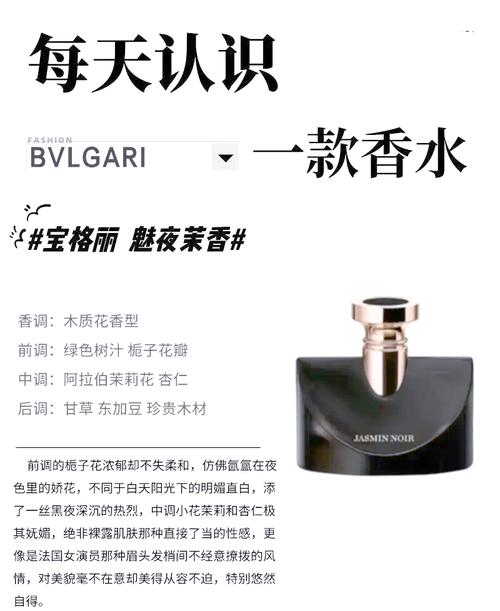 宝格丽夜茉莉最新报价