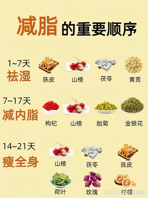 什么中药能减肥