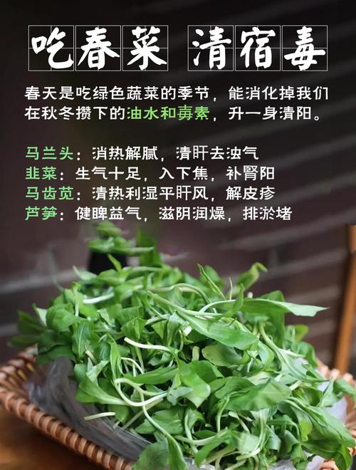 吃什么菜可以排毒