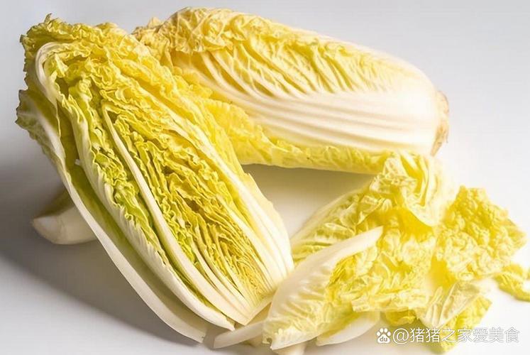 吃什么菜可以排毒