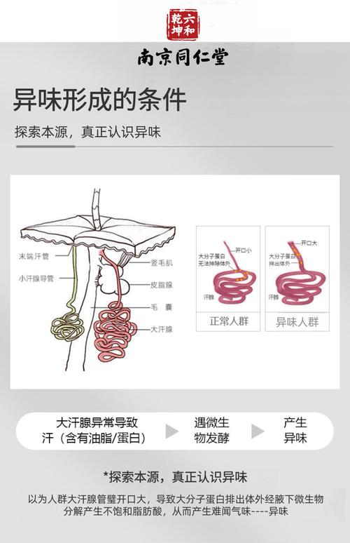 狐臭有什么好处