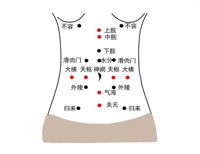 减肥瘦身按什么穴位