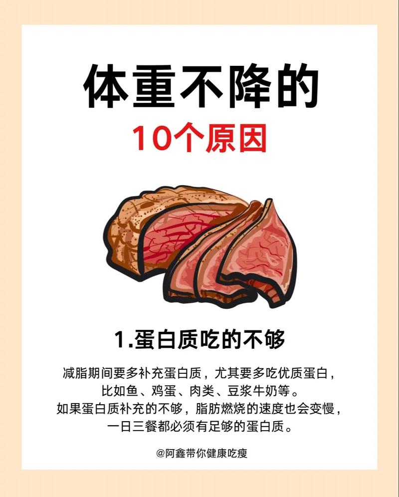 为什么体重减不下来