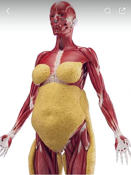 女人减肥的动力是什么