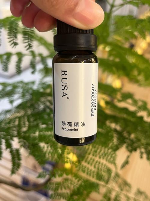 减肥用的精油是什么样的