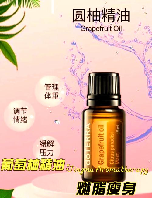 什么减肥精油好