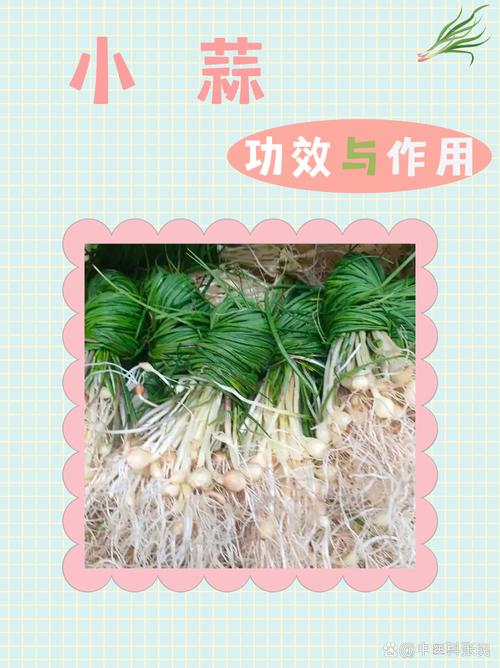 什么吃蒜能减肥