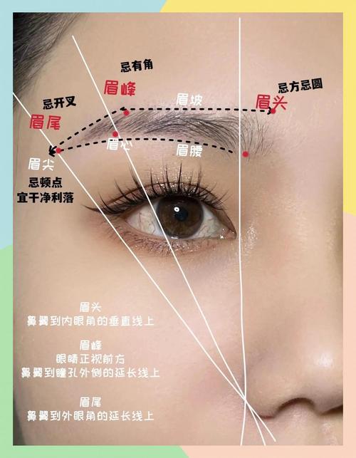 最新韩国眉毛画法