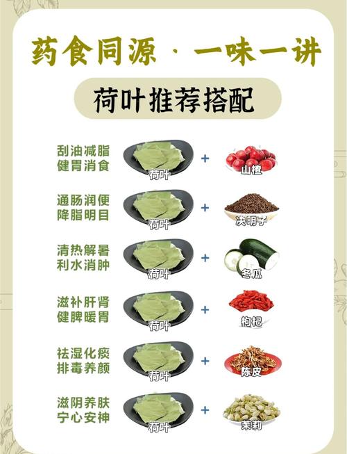 荷叶和什么搭配减肥效果最好