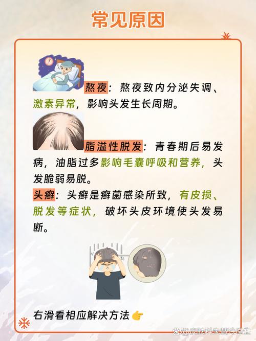 头发掉多是什么原因