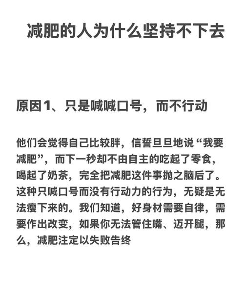 为什么减肥没效果