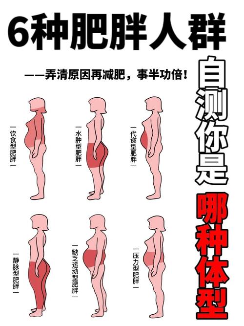 肚子肥胖是什么原因