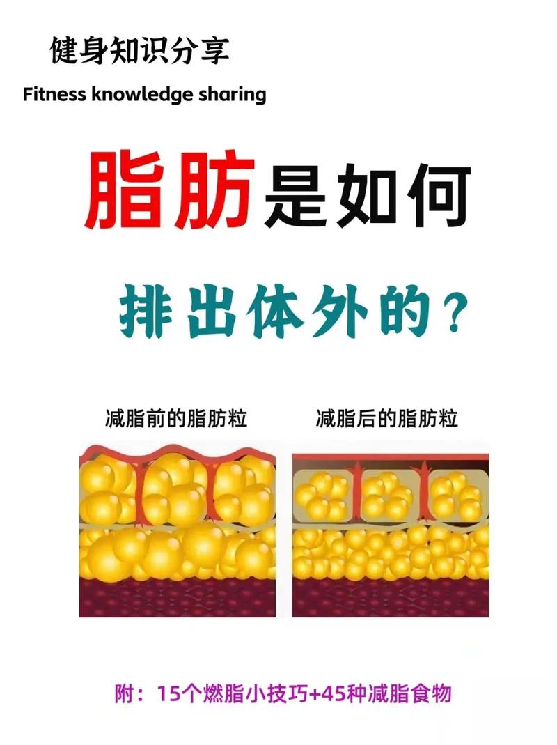 什么东西脂肪多