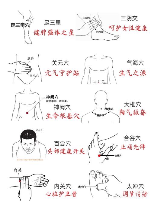 腹部有什么穴位