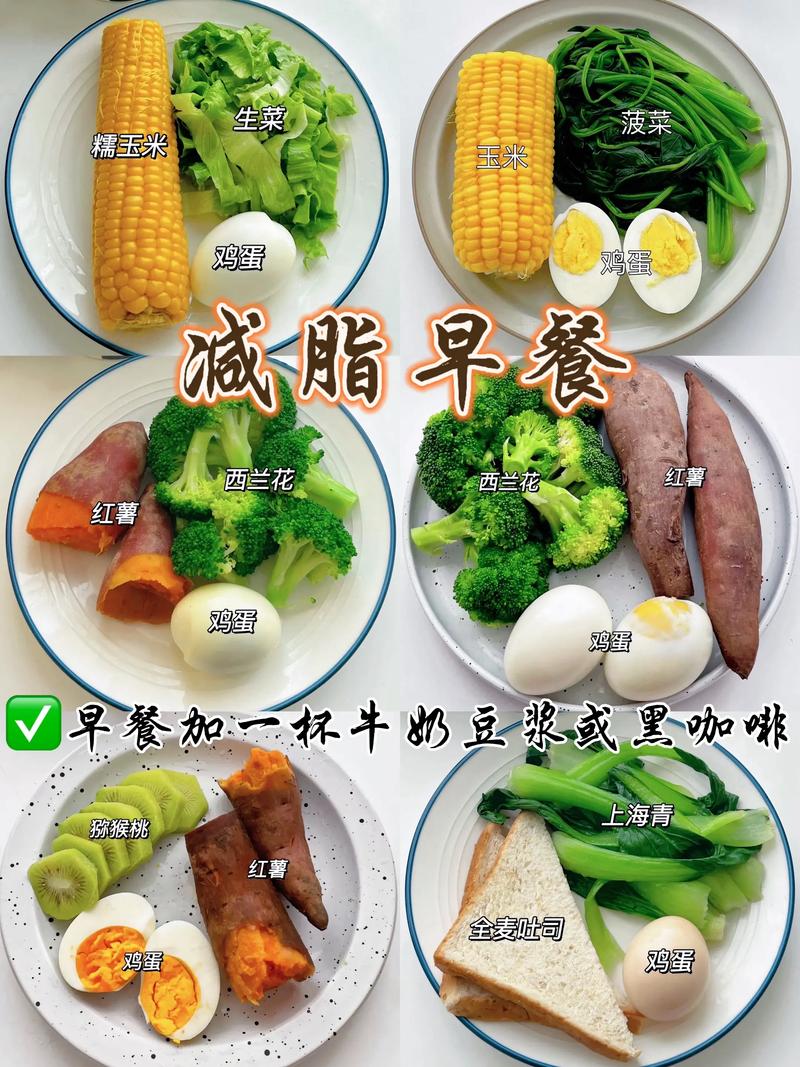 在学校早餐吃什么减肥