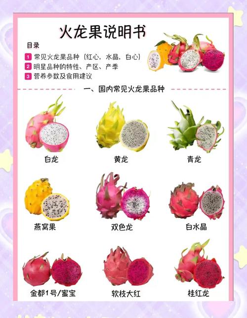 什么时候吃火龙果最减肥