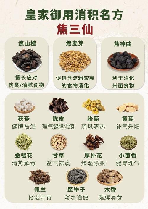 什么中药可以排脂肪减肥